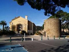 183 D24 BORMES LES MIMOSAS 2_000013